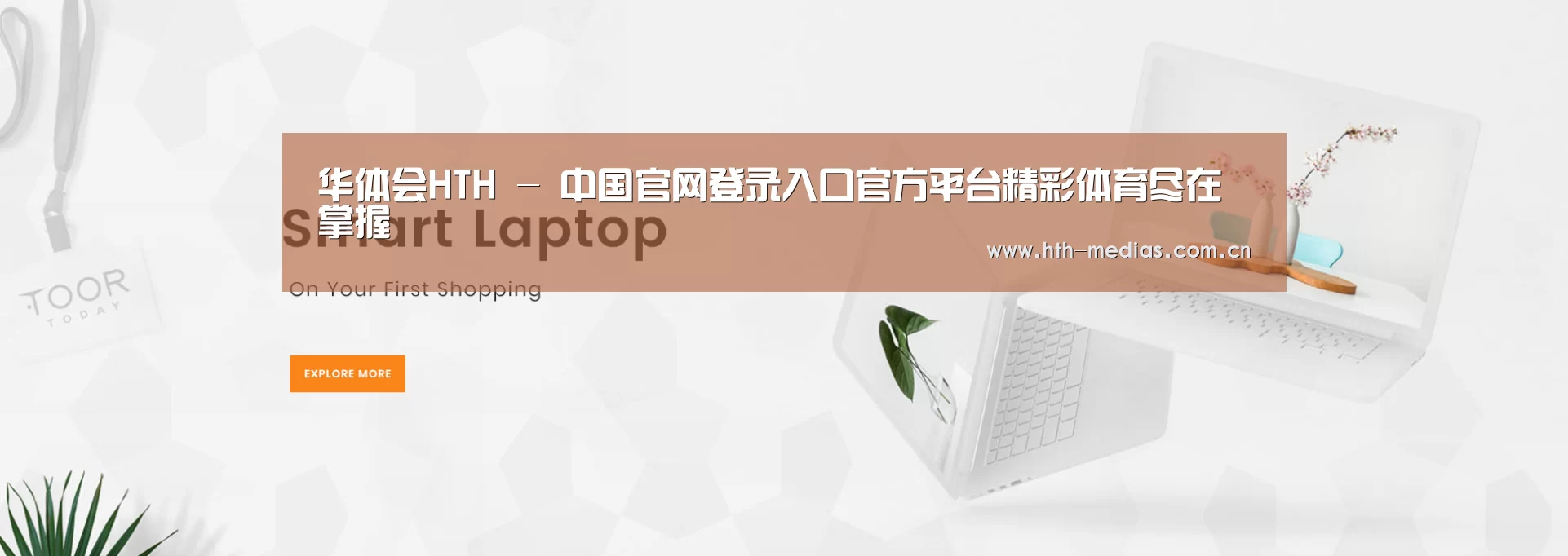 某某网络科技有限公司