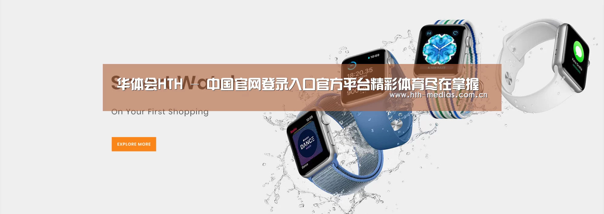 某某网络科技有限公司