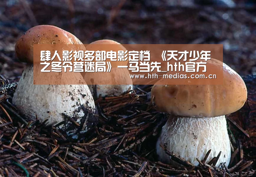 hth网页版